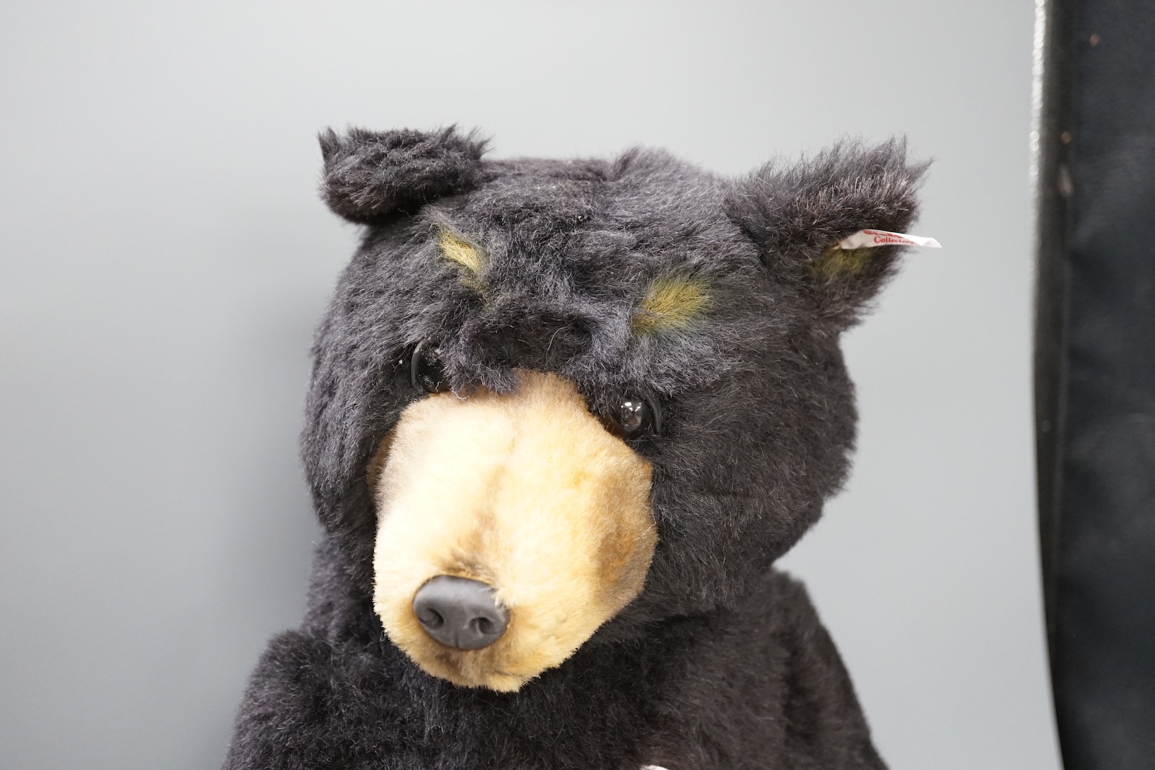 A boxed Steiff Schwarzbar bear, 52 cms high.